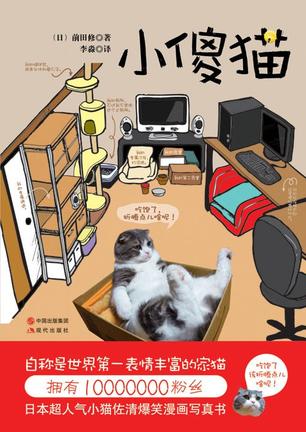 小傻猫