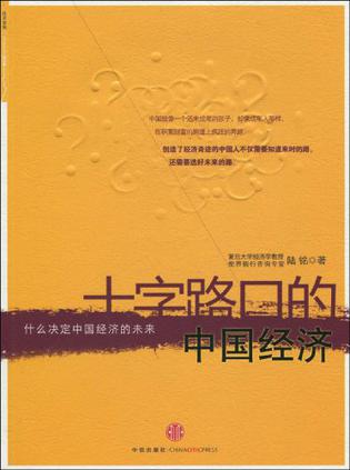 十字路口的中国经济