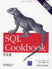 SQL Cookbook中文版