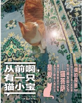 从前啊，有一只猫小宝