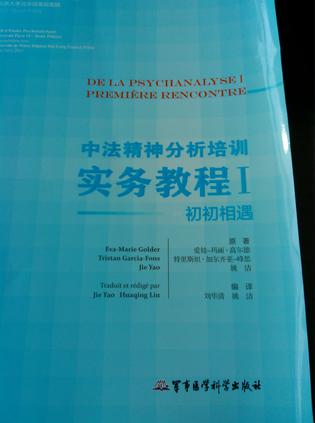 中法精神分析培训实务教程1:初初相遇