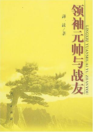 领袖元帅与战友