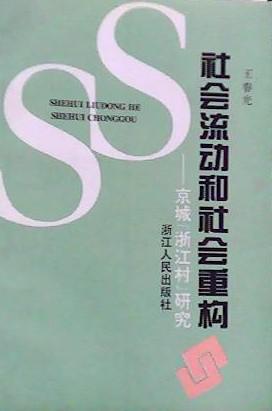 社会流动和社会重构：京城“浙江村”研究